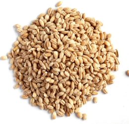 Barley Pearl Hulled ORGANIC – 1kg