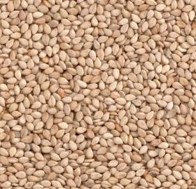 Natural Sesame Seeds – 500gm