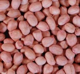 Natural Peanut Large – 500gm